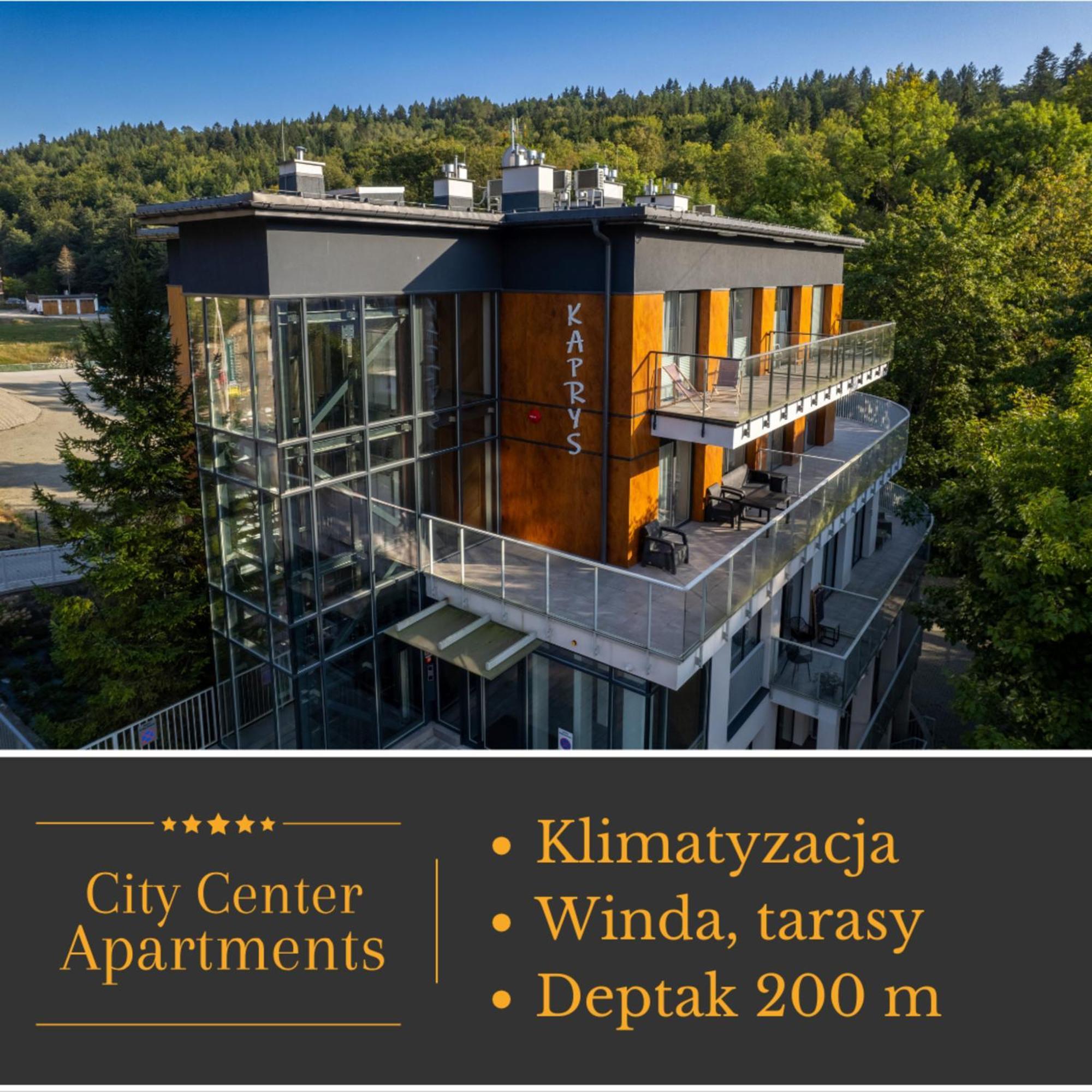 Apartment Kaprys - Centrum